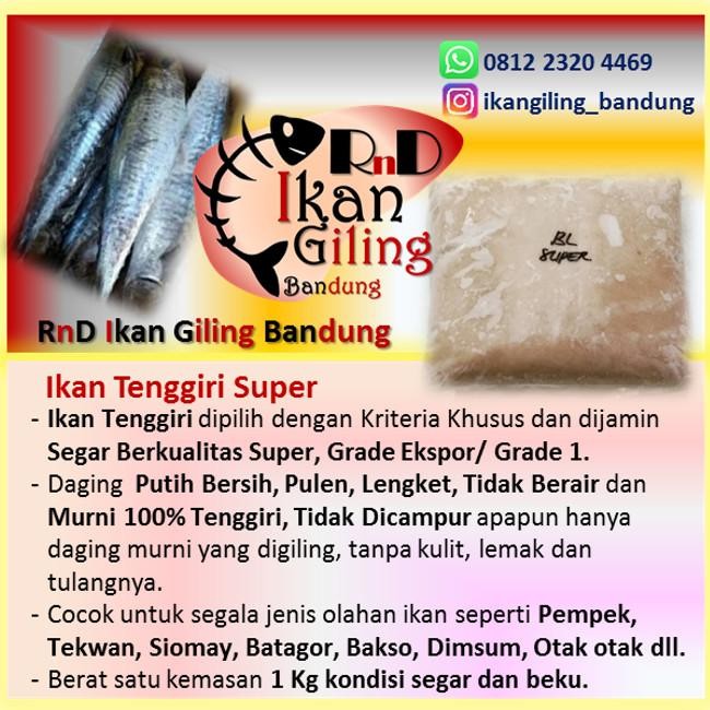 

Ikan Giling Tenggiri Super Beku Grade 1/ Grade Ekspor Utk Area Bandung Original Dan Terpercaya