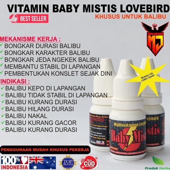 qw-45 Vit Baby Mistis Lovebird | Vit Lovebird Balibu | Vit Balibu Konlset Berkualitas