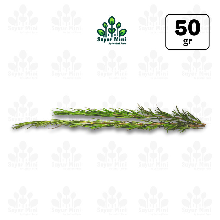 

Rosemary 50gr - Daun Rosemary Fresh - Tanaman Herbal by Sayur Mini
