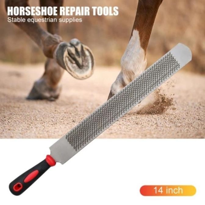 Alat Kikir Dua Sisi Untuk Memotong Kuku Kuda Tool Horse Acessory