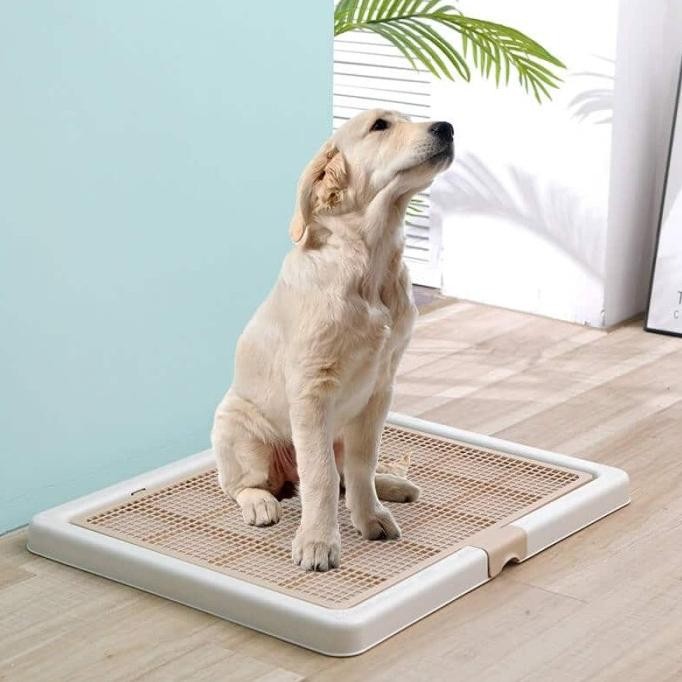 Pet Toilet Training Dog Large - Tempat Pipis Poop - Pee Tray Dog L