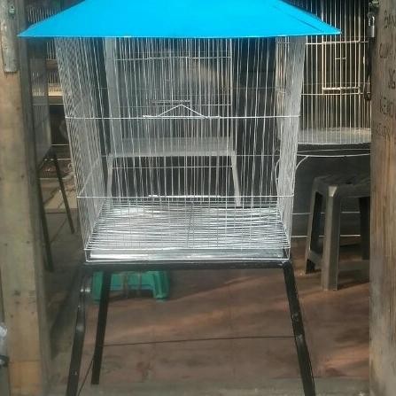 Kandang Limas Besar Buat Burung Beo Burung Jalak Dan Ayam Kate
