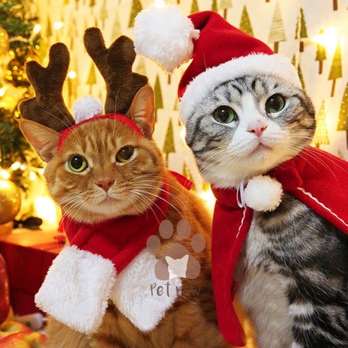 Kostum Natal Anjing Kucing Topi Santa Christmas Jubah Cape Scarf Syal