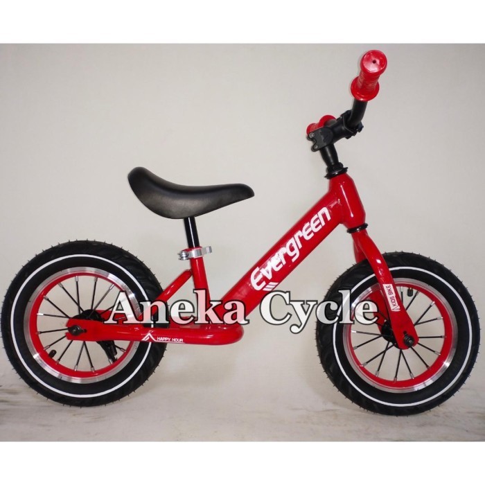 Sepeda Keseimbangan Anak Push Bike Balance Bike Evergreen D55