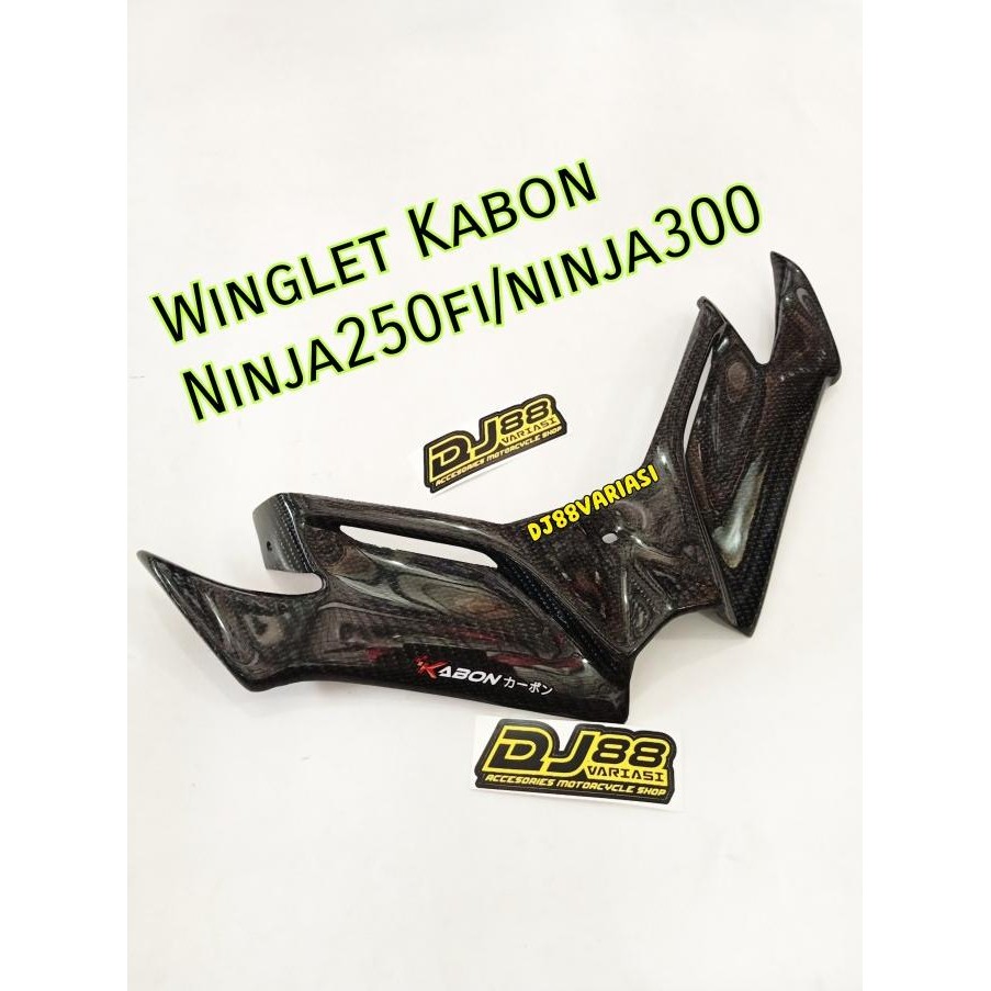 Winglet Kabon Ninja 250 Fi Old Winglet Carbon Kevlar Ninja250Fi 300 Original