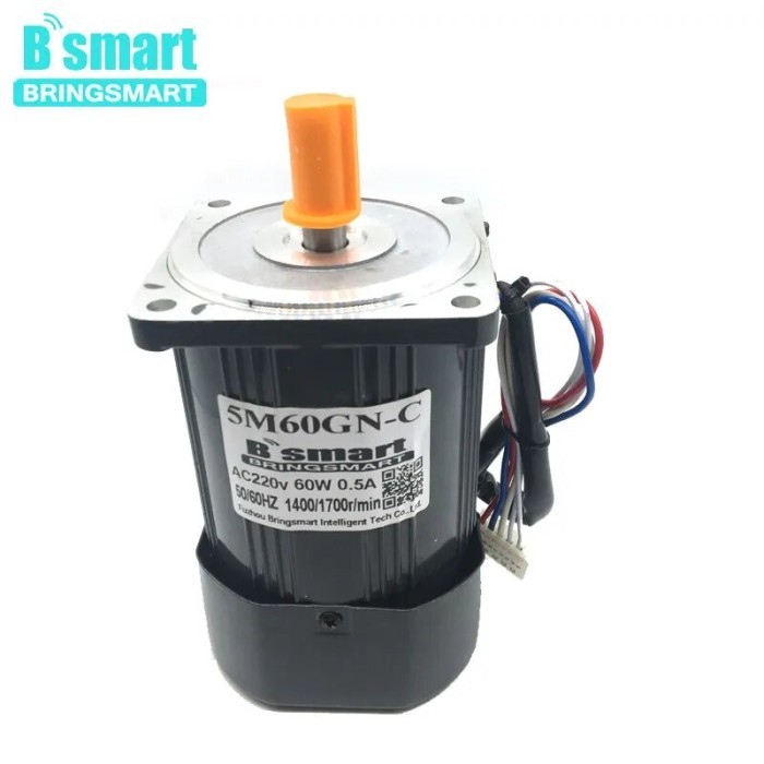 BRINGSMART 60W 1400RPM 2800RPM ELECTRIC MOTOR 220V HIGH SPEED AC