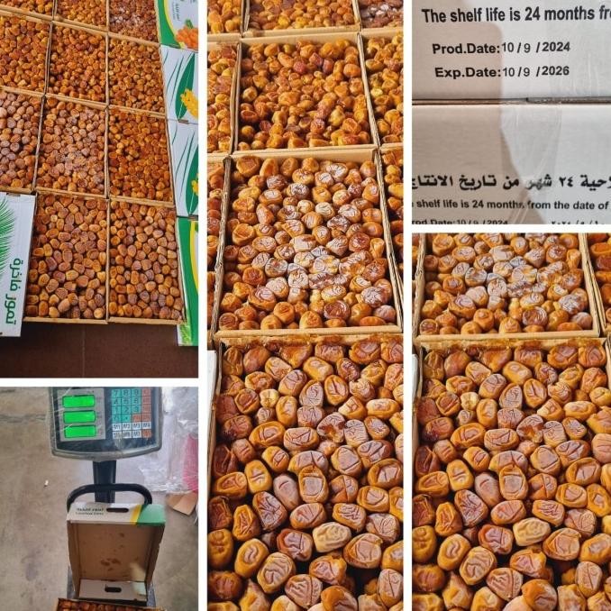 

BARANG TERLARIS Kurma Sukari Premium 3 Kg Grade A Panen Baru