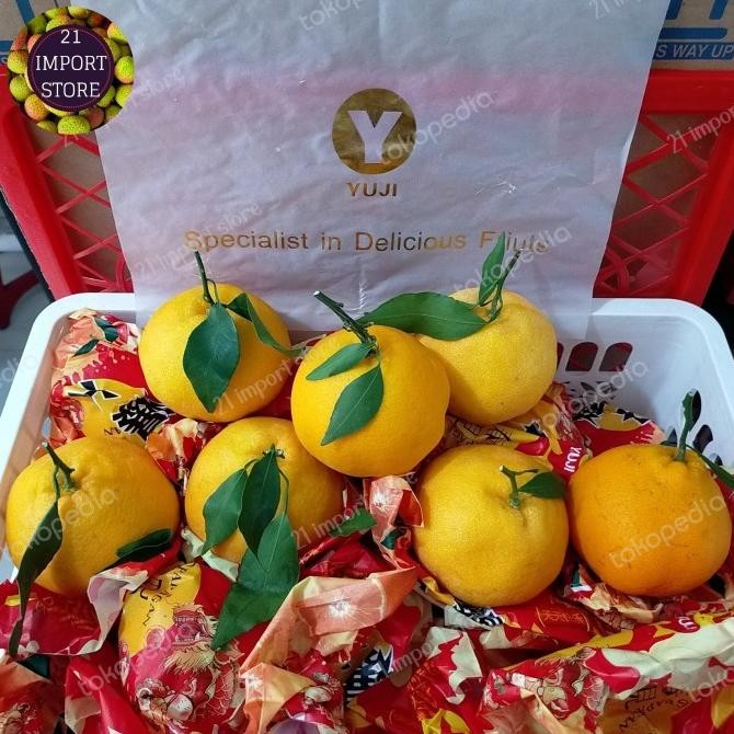 

SALE! JERUK DEKOPON IMPORT RRC | JERUK SEEDLESS MANIS & LEMBUT | 1 KG