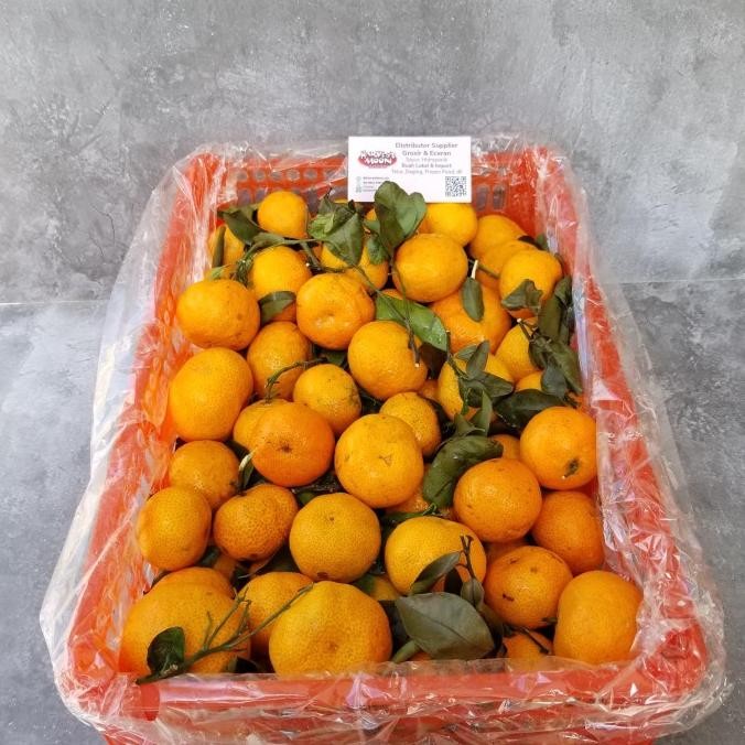 

SALE! HARVESTMOON JERUK SHANTANG PER KRAT