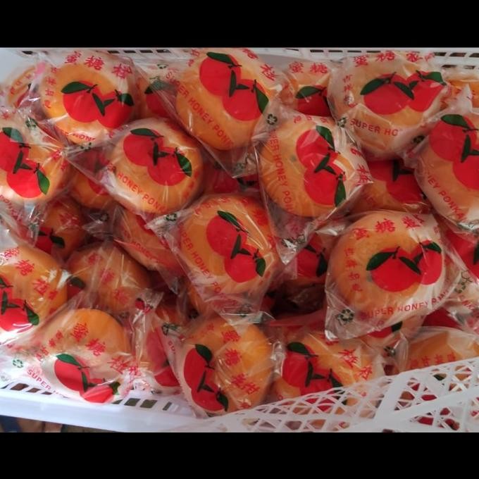 

SALE! JERUK PONKAM/ JERUK PONKAM IMLEK