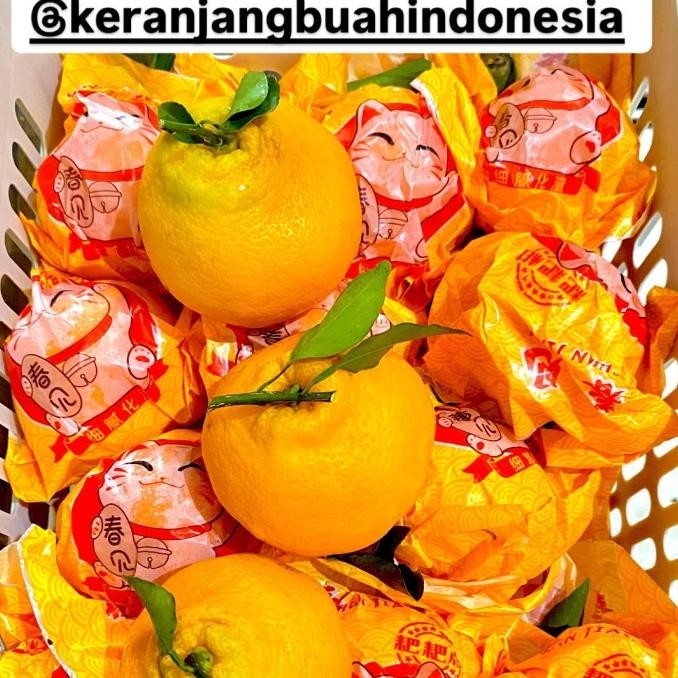 

SALE! BUAH SEGAR JERUK PAPAGAN, FRESH FRUIT DEKOPON