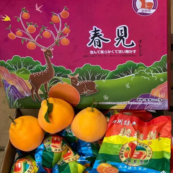 

SALE! JERUK DEKOPON|BUAH JERUK|BUAH SEGAR BANDUNG|BUAH SEGAR