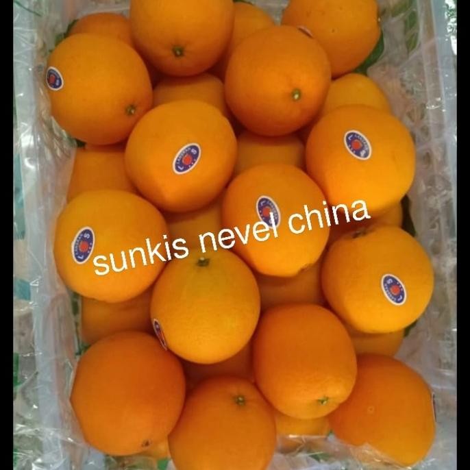 

SALE! JERUK SUNKIS NEVEL CHINA FRESH PER 1 KRANJANG BERAT -+(14) KG