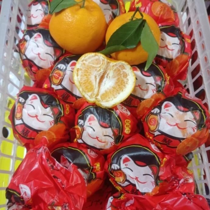

SALE! BUAH HAMPERS IMLEK JERUK DEKOPON ISI 12 PCS