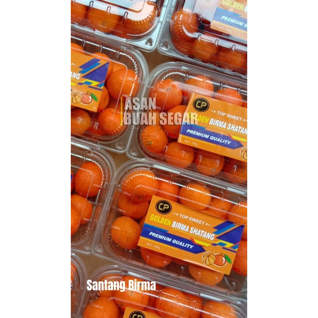 

SALE! BUAH JERUK KECIL TANGERINE SANTANG DAUN MANIS SEGAR KERANJANG SHANTANG