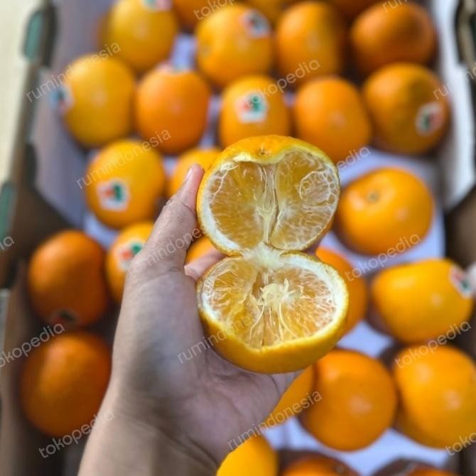 

SALE! JERUK WOKAM PREMIUM IMPORT 1KG / JERUK WOKAM / JERUK WOGAN PREMIUM