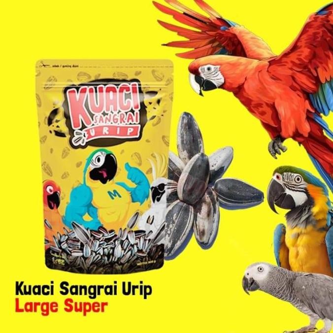 Kuaci Sangrai Jumbo Kualitas Super Untuk Burung Kakatua Afgrey Macaw