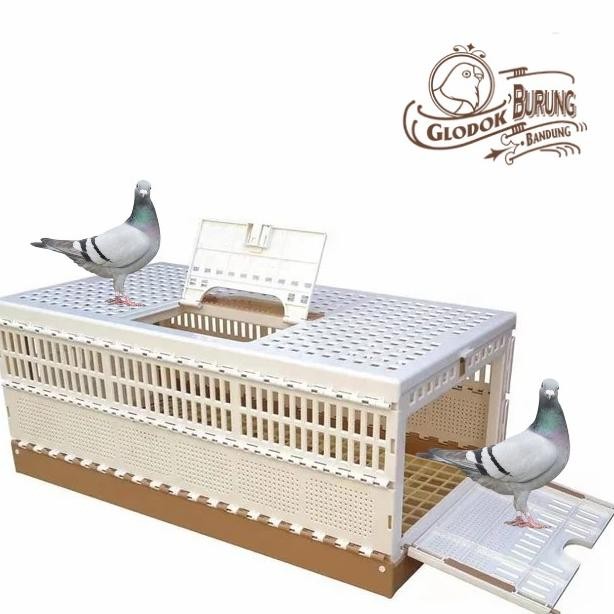 Dongdang Merpati Pos Kurungan Kotak Bawa Burung 3 Pintu Kandang Lipat