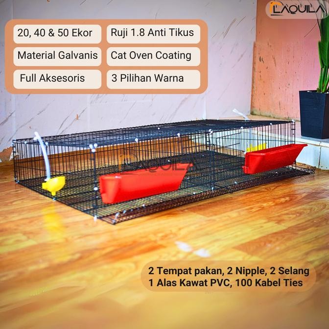 Kandang Baterai Puyuh Galvanis