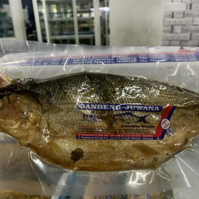 

1Kg Bandeng Presto Elrina Asli Semarang (Vacuum Kering) Original Dan Terpercaya