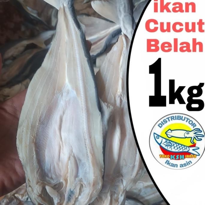 

ori - ikan asin cucut belah-1kg