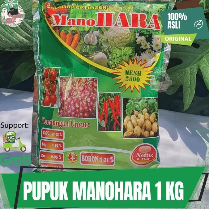 Manohara Tanaman Bunga Buah dan Nutrisi Kalsium Boron Ori MMU