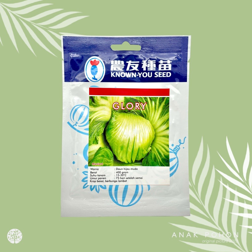 (1 PACK) Benih Sawi Pahit GLORY Mustard Sawi Asin Seeds - Known You Seed KYS - 10 GRAM R8E29
