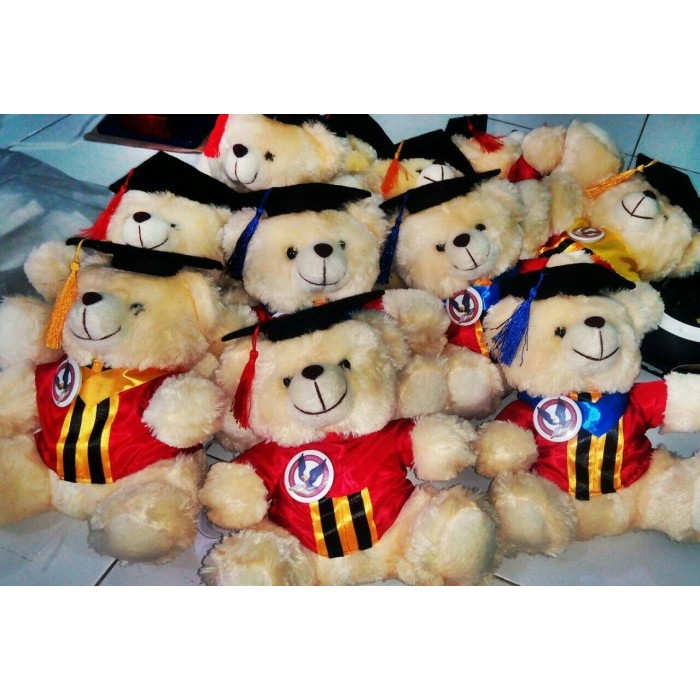 

BONEKA WISUDA UPH 25CM RASFUR PACKING PLASTIK PARSEL