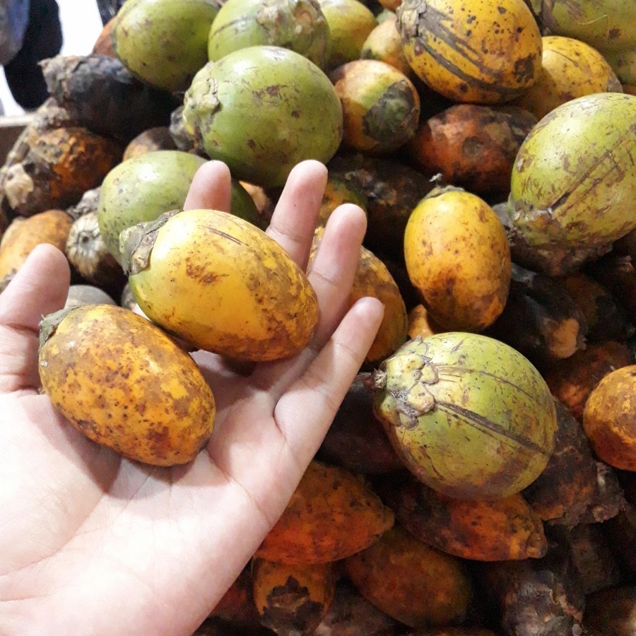 

Pinang wangi / Pinang Medan MANTUL - Pinang Medan