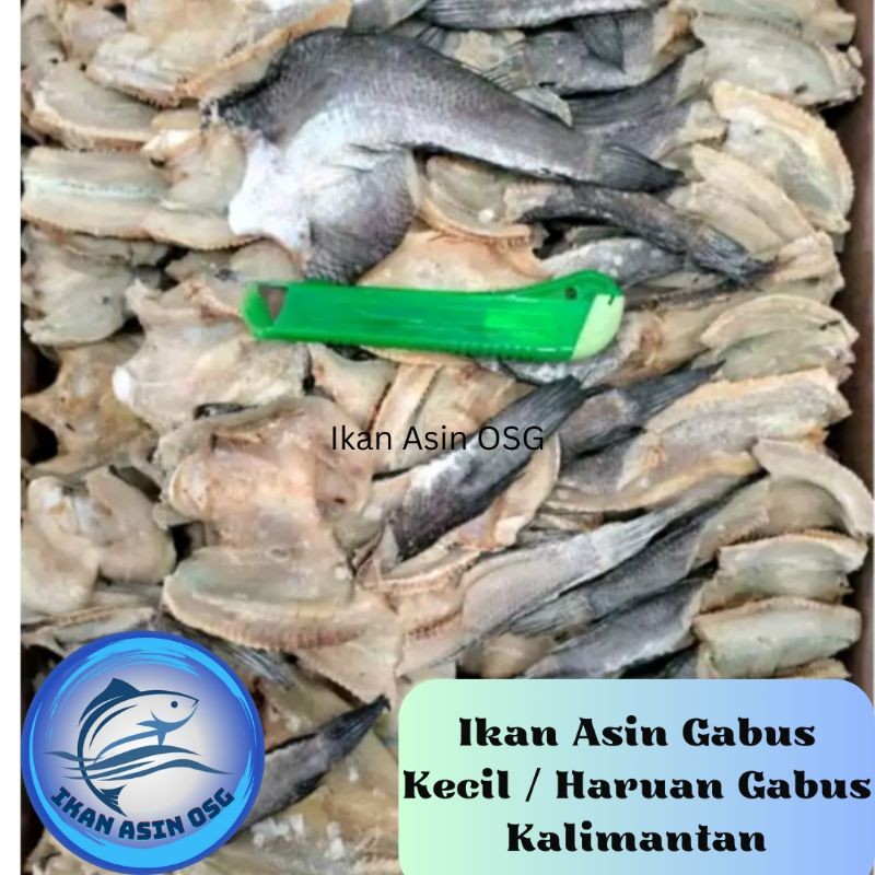 

ikan asin gabus kecil keriting 1kg