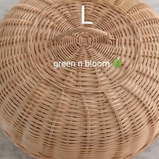 Tudung Saji Rotan (Besar)