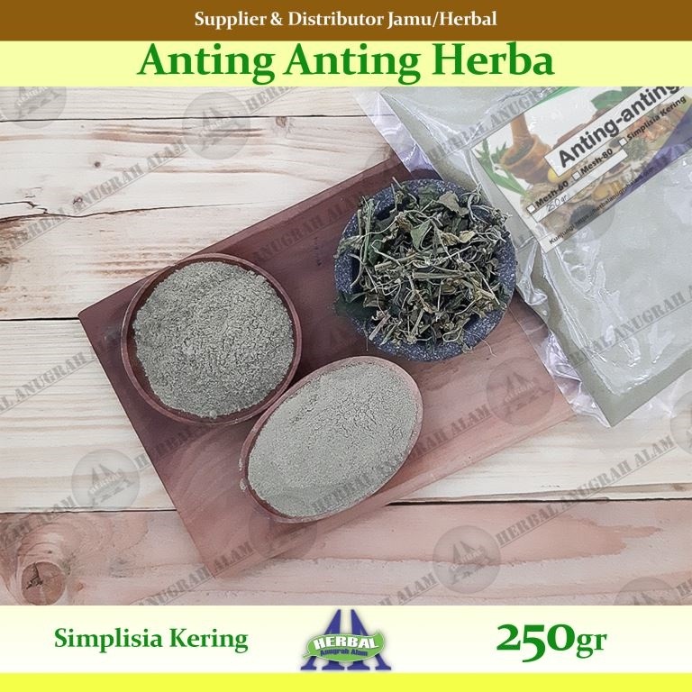 Herba Anting Anting (Kering) 250Gr | Acalypha Indica | Lateng Putih - 100% Murni #Herbal