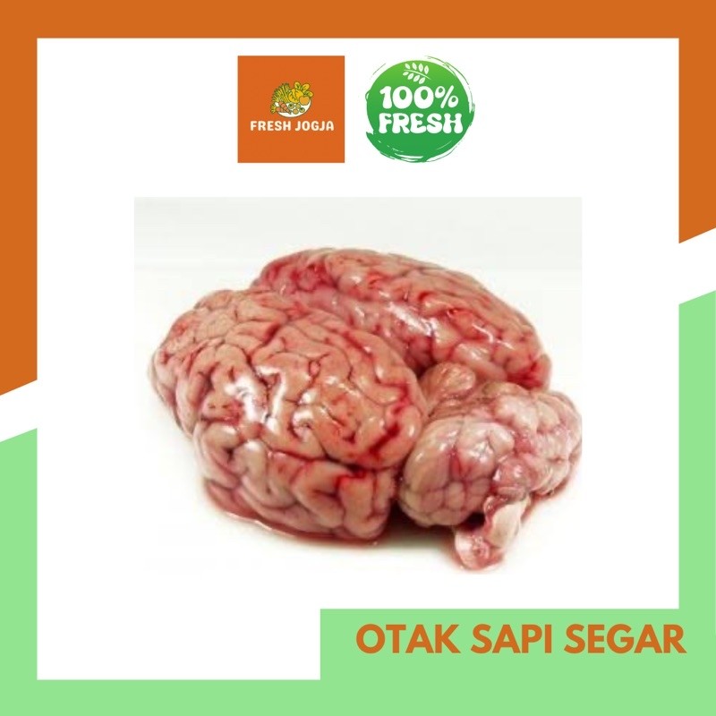 

Otak Sapi Segar Utuh (per pcs) | Fresh jogja