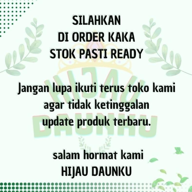 

Daun Sirsak Herbal Segar Hijau Non Kimia 100Lembar Langsung Di Petik - Termurah
