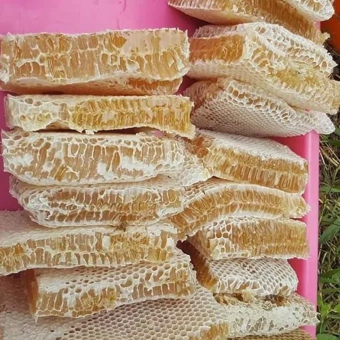 

Flash Sale Madu Sarang - Sarang Madu - Sarang Madu Asli - Madu Asli - Madu Murni - Sarang Madu Murni 250 Gram Grosir