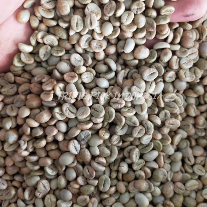 

Green Bean / Biji Kopi Robusta Gayo