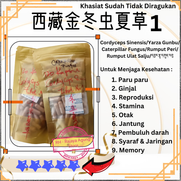 

Premium Cordyseo Cordyceps Powder Cheng Tong Cong Cau Fen
