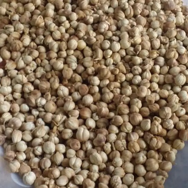 

kapolaga kering lokal/netto 1kg
