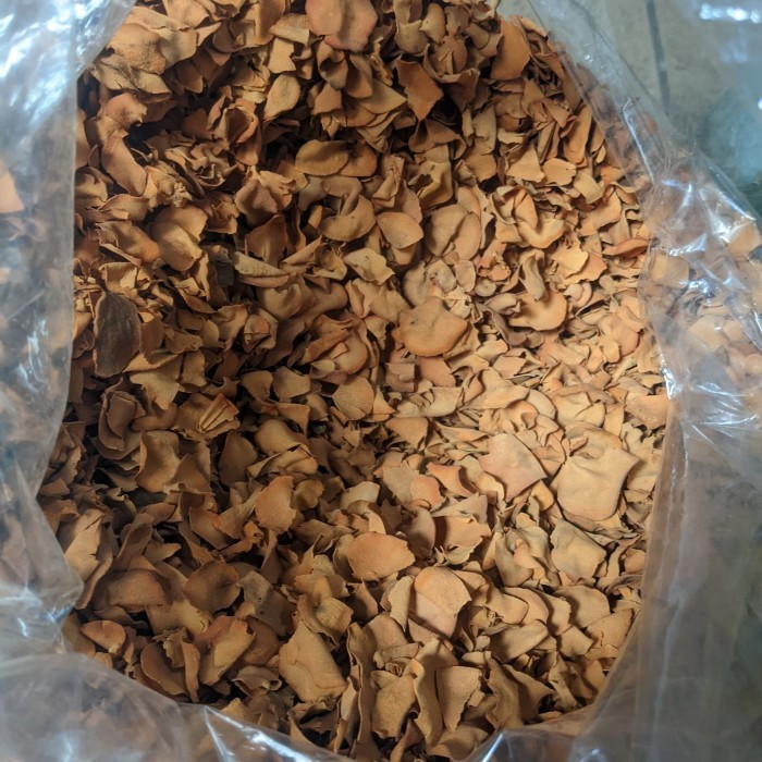 

Terlaris Biji Alpukat Iris Kering 500 gram SALE