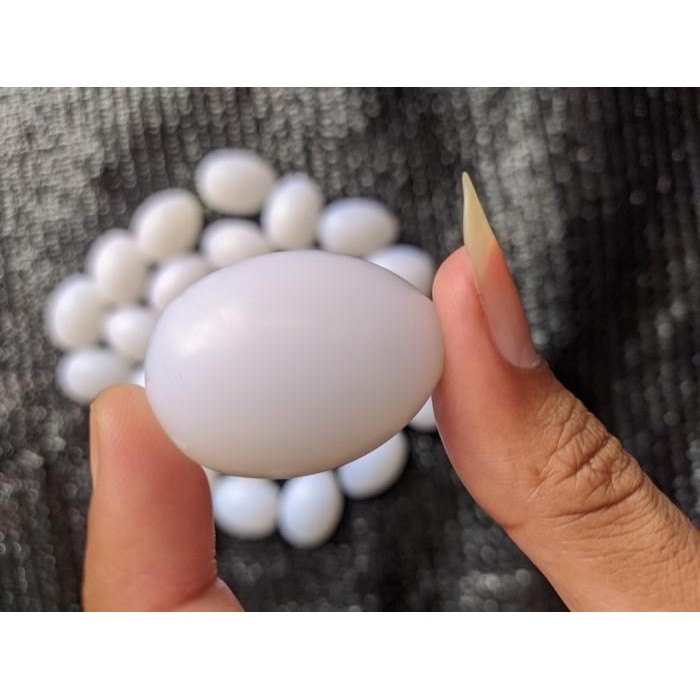 Telur Palsu Merpati Ayam Kate dan Aneka Burung bahan solid Murah Hewan