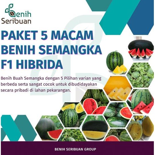 Bibit Semangka Paket 5 Macam Buah Semangka Non Biji Jumbo F1 MMX