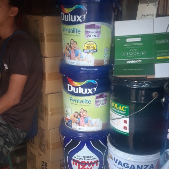 cat dulux 20 kg pentalite warna lily white