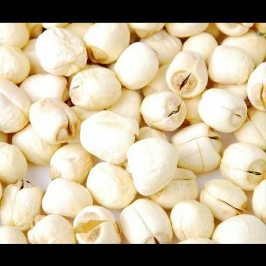 

Biji teratai/lience 1kg