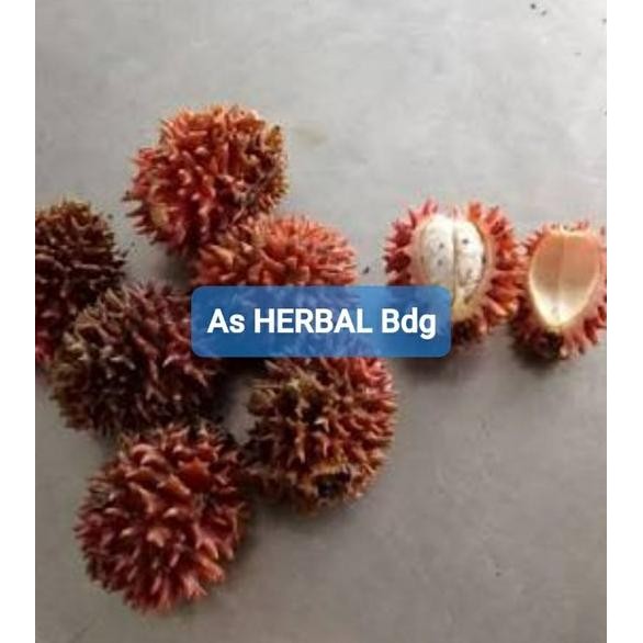 

Buah parahulu atau rambutan tanah segar 1 kg *