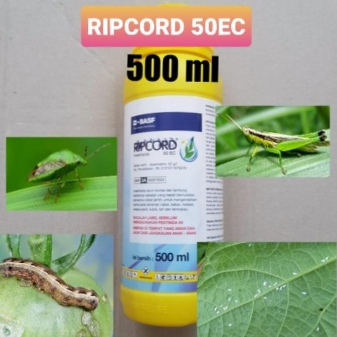 Obat Hama Tanaman Ripcord 50 EC 500 ml Insektisida [terbaik]
