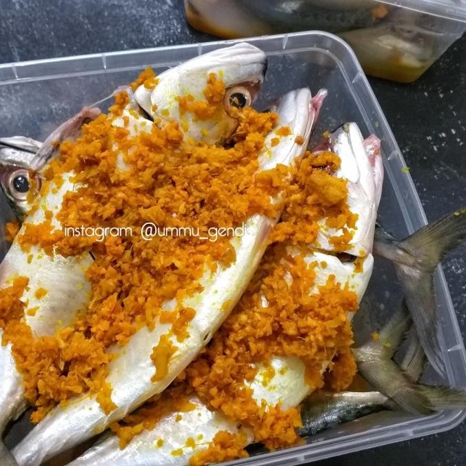 

Ikan Gembung Bumbu Tinggal Goreng - Isi 6 Ekor Original Dan Terpercaya