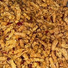 

Mie Gulung Kering Gurih NIkmat dan Lezat