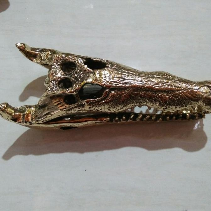 }}}}}}] pajangan tengkorak Buaya Crocodile
