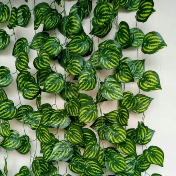 2 meter Daun Rambat Plastik 1 Lusin - Tanaman Rambat Sintetis