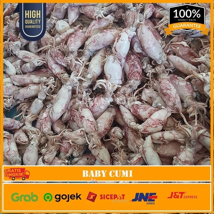 

Baby Cumi Asin Kering 500 Gr